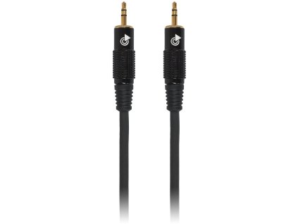 Bespeco EA2M100