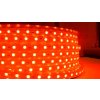 Taśma LED eLite SMD5050, RGB, AC220V, 1m, 60 LED/m, IP65