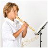V-TONE FL W1