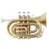 Soundsation STPGD-10P
