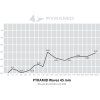 Pyramid 4 Pack Waves 25mm FST
