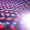 157036 effectgrond 7 web