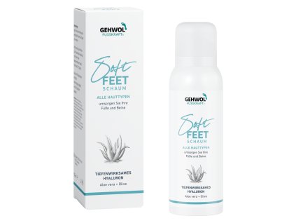 2927 1 Gehwol Fusskraft Soft Feet Schaum 125ml