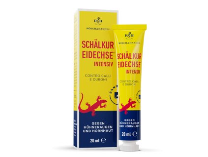 Eidechse Kompo ms Homepage 1920x1920