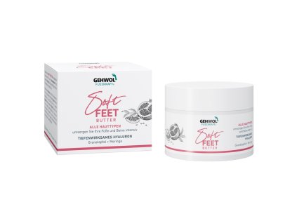 2926 1 Gehwol Soft Feet Butter 100ml