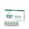 FARMONA PROFESSIONAL Derma Acne Aktywny koncentrat normalizujacy 5 x 5 ml