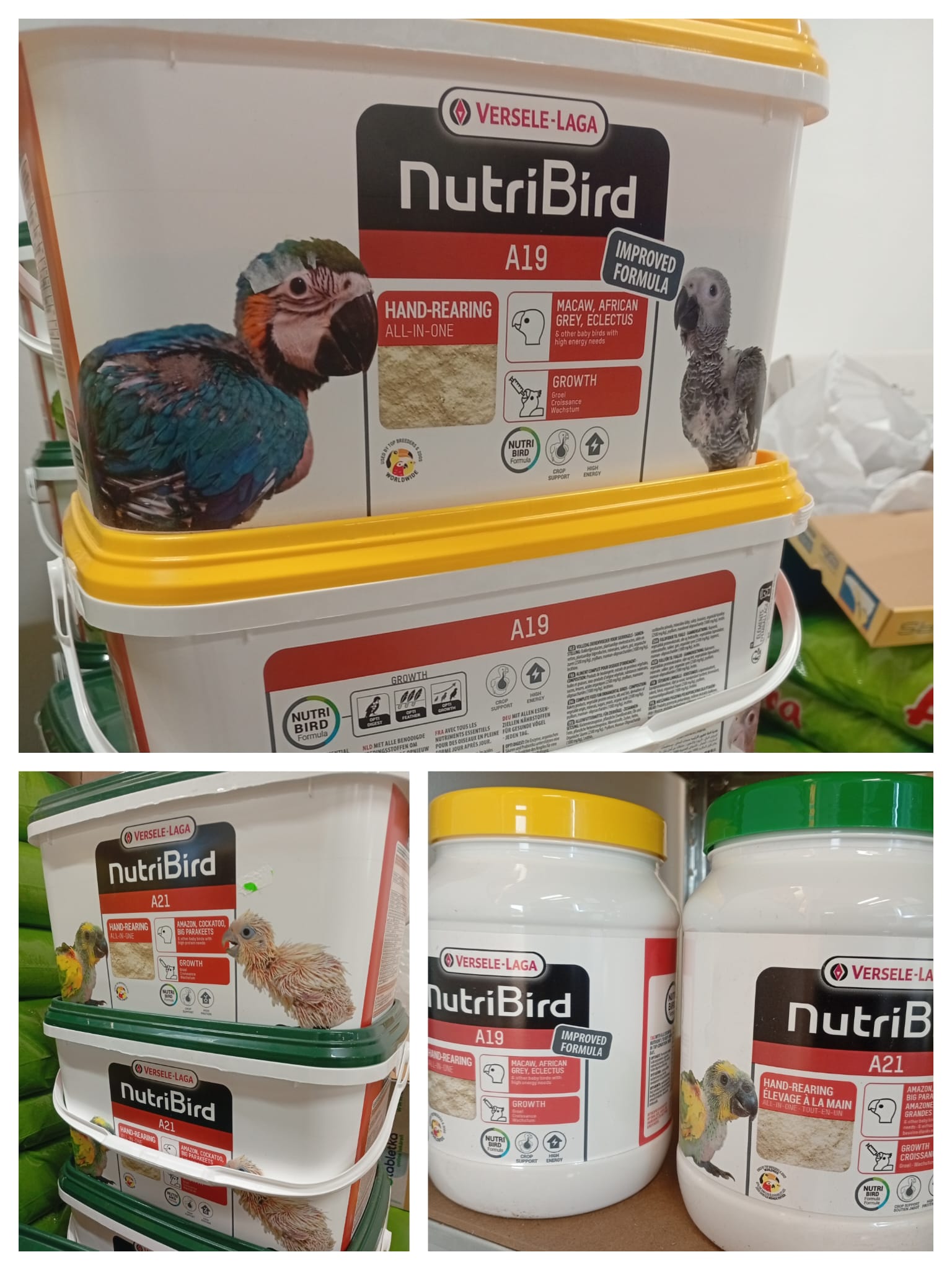 NutriBird