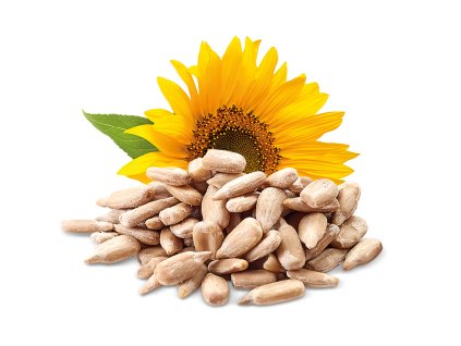 29f8c9e35a2c3260cbc697a78f66b47c