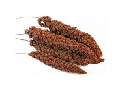 bb7392a3ecc6eadb3962222580c88d4c mmf400x400