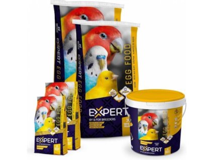 f5db213d 4dc1 46ee a52d 82d1c72f2ef5