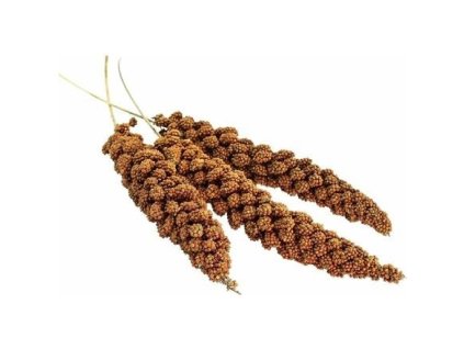 13cc368c c41b 4cc2 bd2f 9c05003c2785