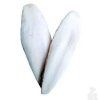 Sépiové kosti prírodné 20-25cm 1kg