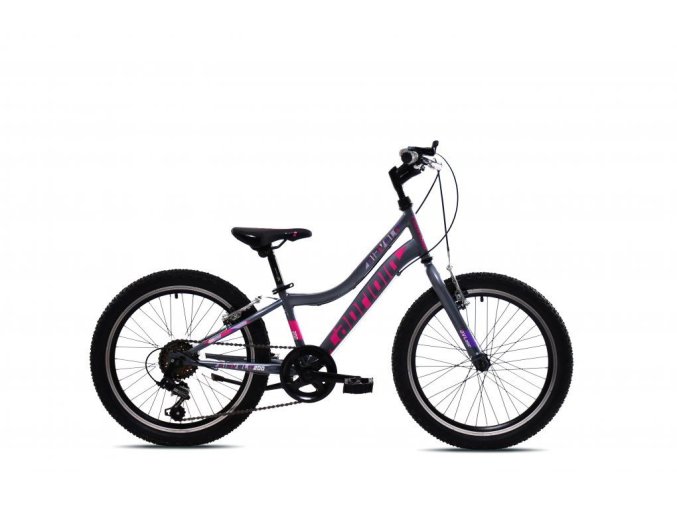 CAPRIOLO DETSKÝ BICYKEL - DIAVOLO 200 20"X11" SIVO-FIALOVA