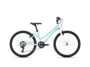 CTM MONY - matná mentolová 13