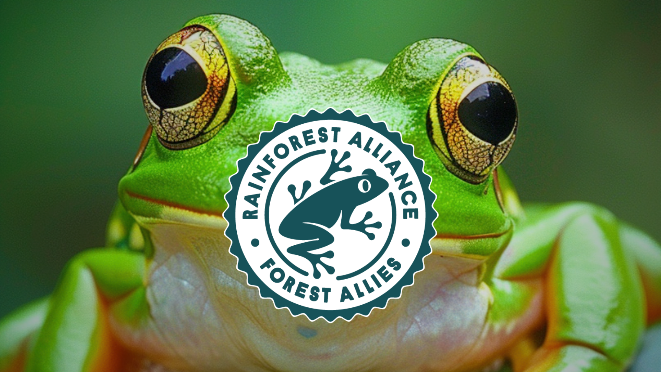 Co je pravda? Zelená žába na potravinách (Rainforest Alliance)