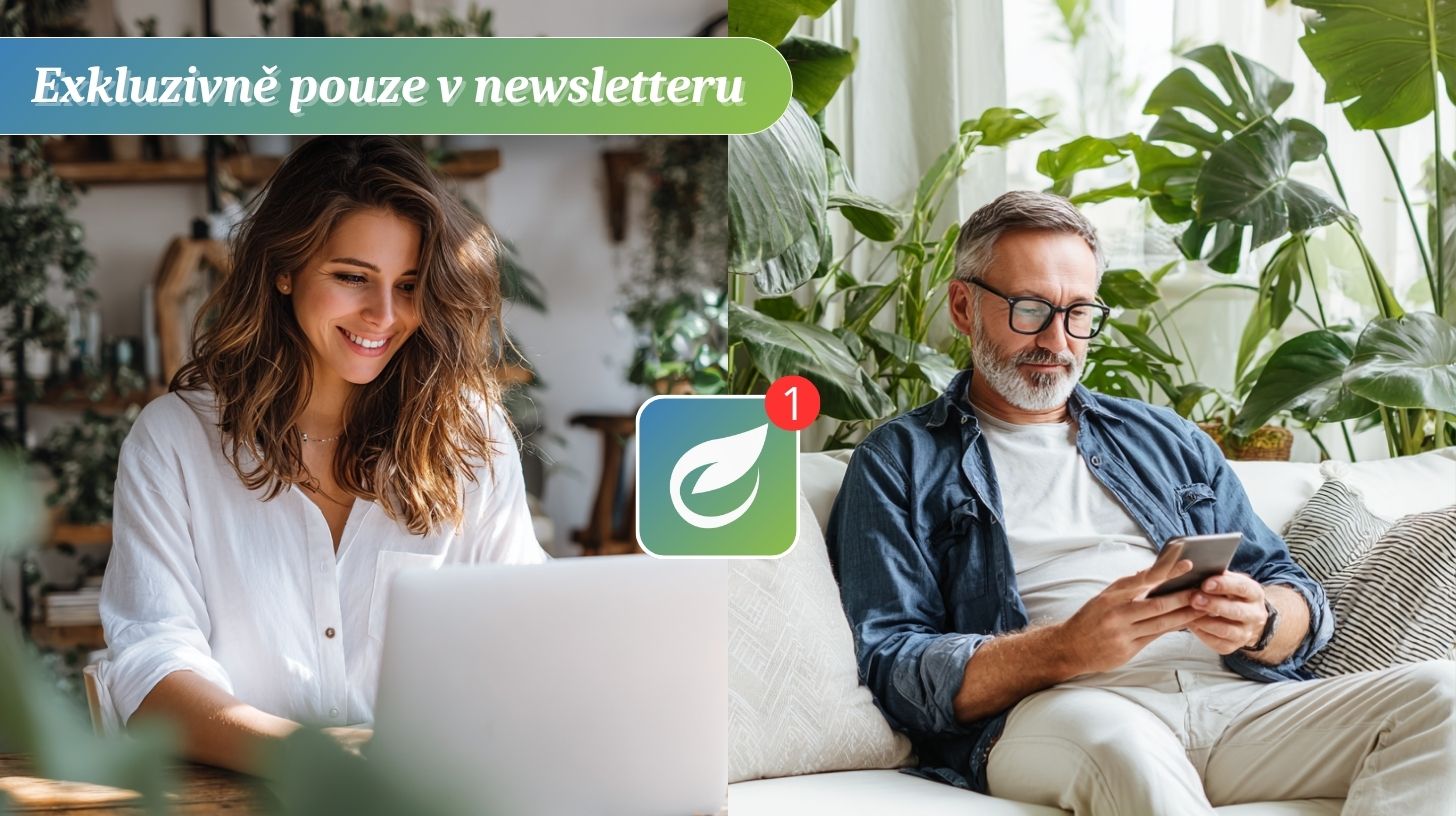 newlsetter