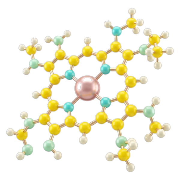 Molekula vitamínu B12