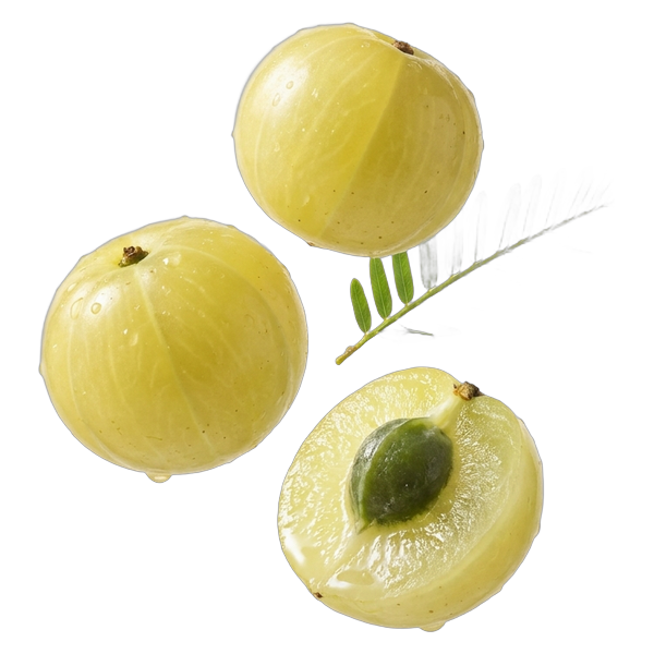 Amla