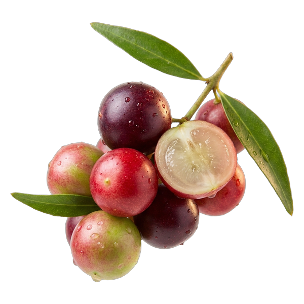 Camu camu