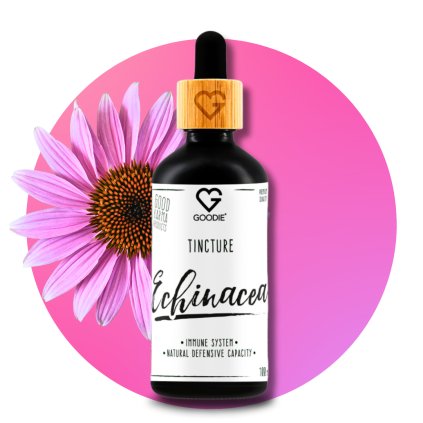 Echinacea tinktura, 100 ml