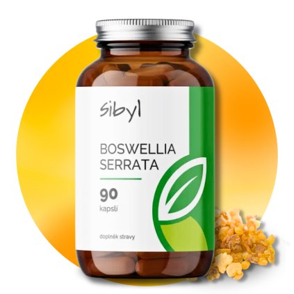 Boswellia Serrata (pryskyřice), 90 kapslí