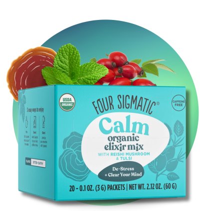 Reishi Mushroom Elixir Mix BIO (prášek), 20 sáčků