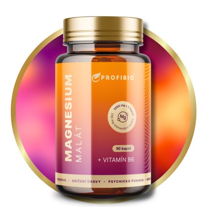 Magnesium Malate PREMIUM 1000 mg + vitamín B6, 90 kapslí