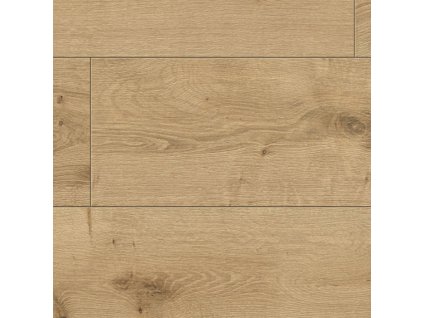 R128 Ascot 1210x295 flatshot www700