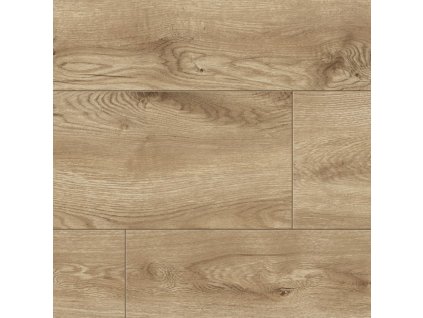 Sunrise oak R111