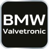 27248 aretacna sada pre benzinove motory bmw valvetronic 11 314 6