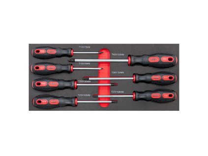 47147 skrutkovace typu torx