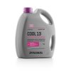 23696 dynamax cool ultra 13 4 l