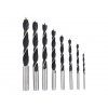 4613 sada vrtakov do dreva 3 10mm 8ks g38101