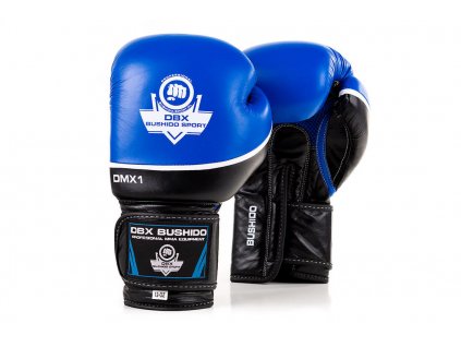Bushido Boxerské rukavice BUSHIDO "DBD-B-2 v2", modré