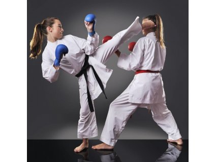 Rukavice na karate DBX BUSHIDO DBX-KM modré