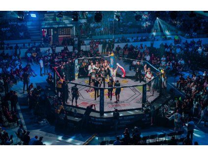 Regard Zápasová MMA klec s prstencom