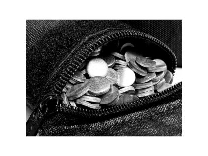 TMP 30 B1 621 MAXI 09