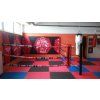 Regard Training floor boxing ring REGARD