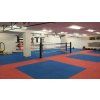 Regard Training floor boxing ring REGARD
