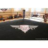 Regard Fight ring REGARD 6,5m x 6,5m - NA PRENÁJOM !