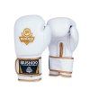 Bushido  Boxing Gloves "DBD-B-2", white/gold