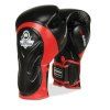 Bushido Boxing Gloves BUSHIDO "BB4", black/red