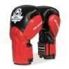 Bushido Boxing Gloves BUSHIDO "BB1", red/black