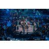 49652 6 regard zapasova mma klietka s prstencom