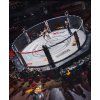 Regard Zápasová MMA klec kulatá s prstencom