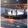 MMA klece