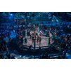 MMA klece