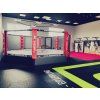 MMA klece
