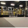 50102 21 boxerske ringy