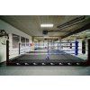 50102 26 boxerske ringy